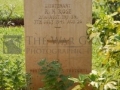 ROSE, Robert Neville